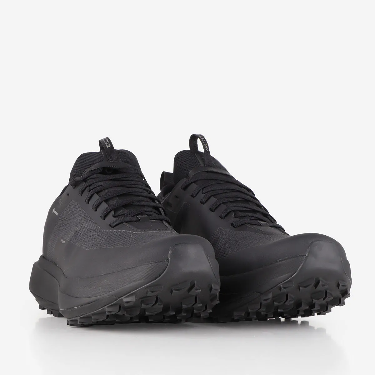 Arc'teryx Sylan GTX Shoes